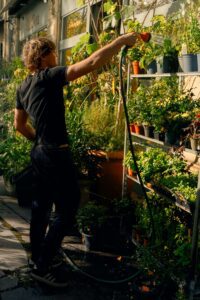 Accueil pexels photo 32440658 32440658